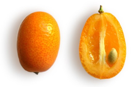 \"kumquat,